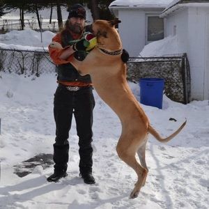 Meet your Posher, Michael